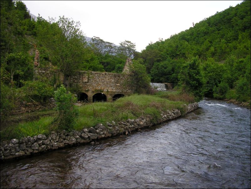 Krcic (25)